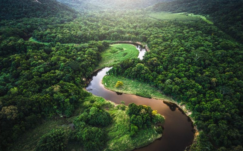 mata-atlantica-atlantic-forest-in-brazil-royalty-free-image-935746242-1567619461